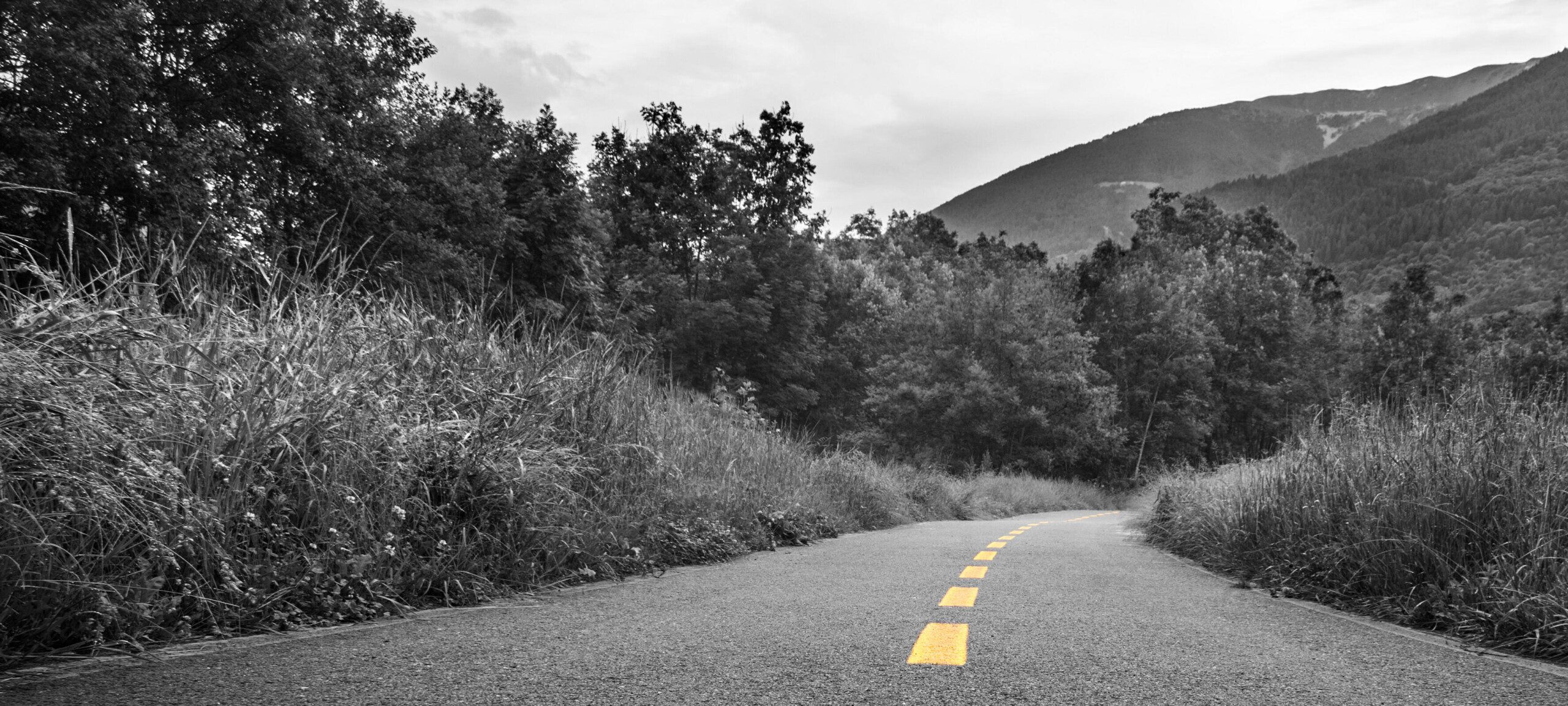 route Zèbre stratégie