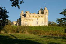 Chateau de Camarsac - Zèbre stratégie